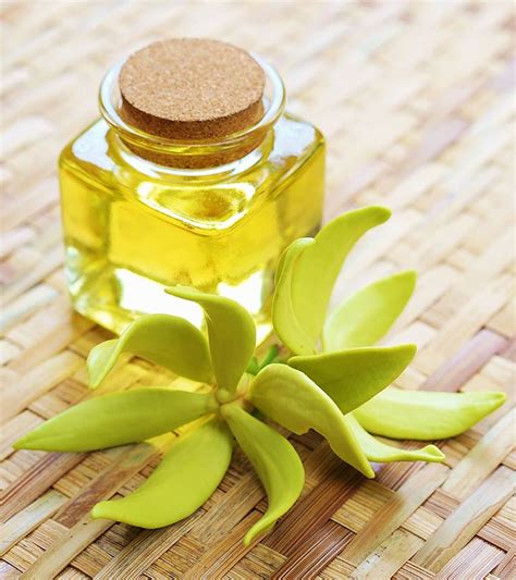 ysl ylang ylang|ylang oil benefits for women.